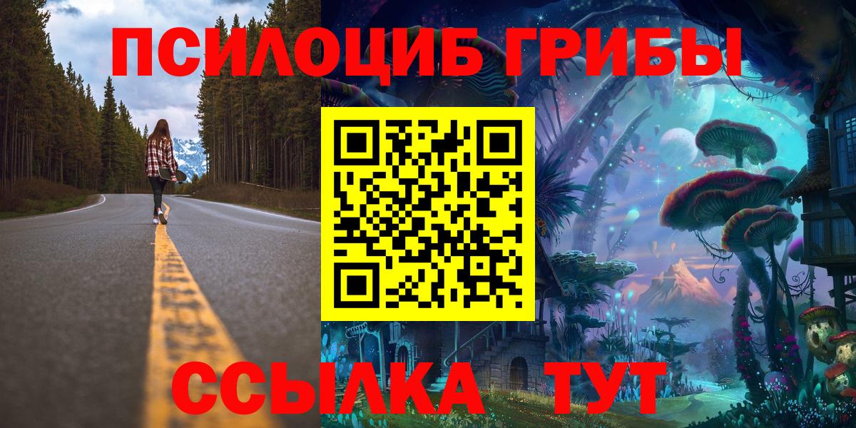 Псилоцибиновые грибы Psilocybe  цена   Дедовск  Вход с VPN  Псилоцибиновые грибы Magic Shrooms 